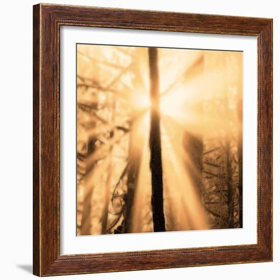 Epiphany II-Marvin Pelkey-Framed Art Print