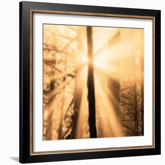 Epiphany II-Marvin Pelkey-Framed Art Print