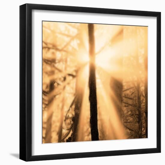 Epiphany II-Marvin Pelkey-Framed Art Print