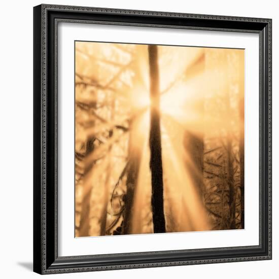 Epiphany II-Marvin Pelkey-Framed Art Print