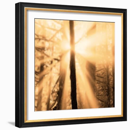 Epiphany II-Marvin Pelkey-Framed Art Print