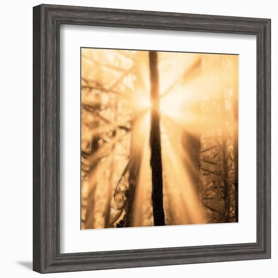 Epiphany II-Marvin Pelkey-Framed Art Print