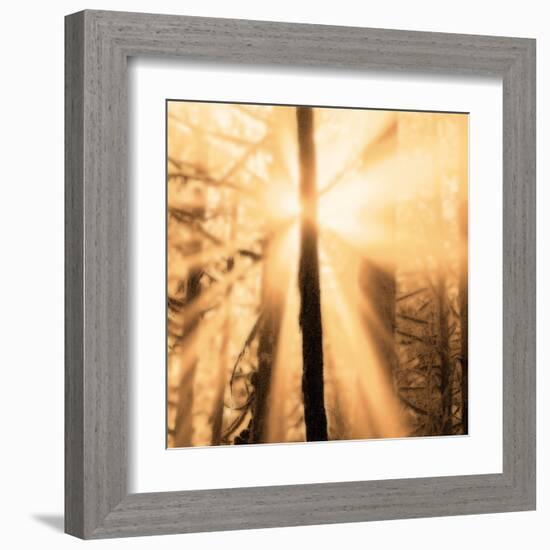 Epiphany II-Marvin Pelkey-Framed Art Print