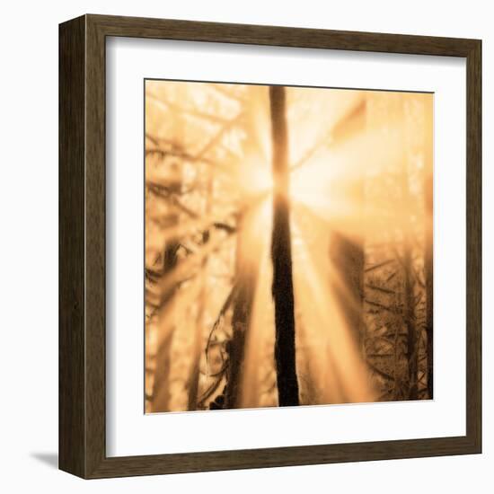 Epiphany II-Marvin Pelkey-Framed Art Print