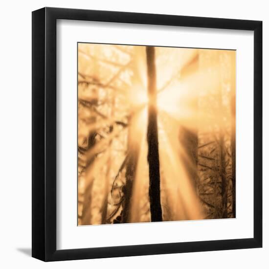 Epiphany II-Marvin Pelkey-Framed Art Print