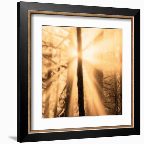 Epiphany II-Marvin Pelkey-Framed Art Print