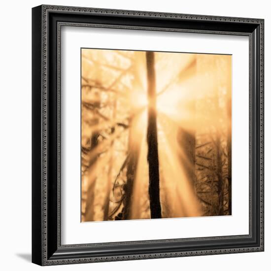 Epiphany II-Marvin Pelkey-Framed Art Print