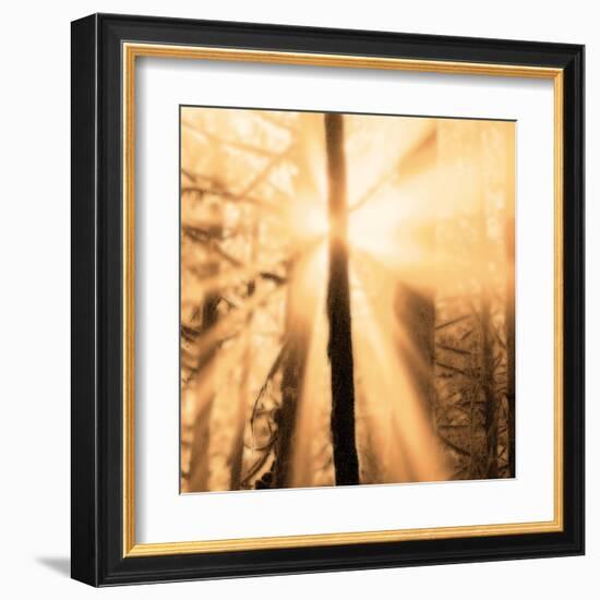 Epiphany II-Marvin Pelkey-Framed Art Print