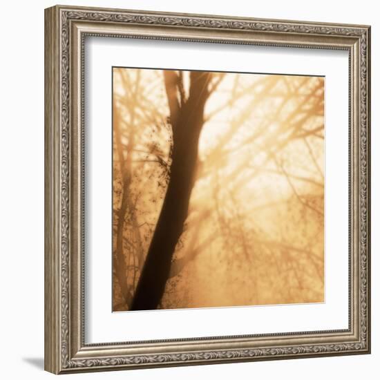 Epiphany III-Marvin Pelkey-Framed Art Print