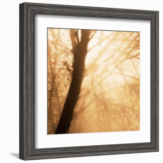 Epiphany III-Marvin Pelkey-Framed Art Print