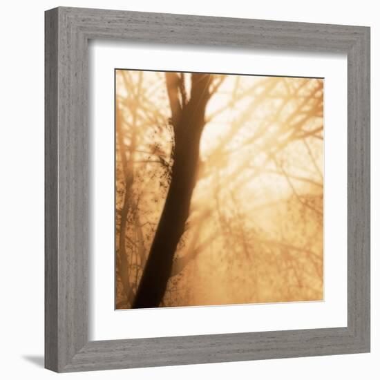 Epiphany III-Marvin Pelkey-Framed Art Print