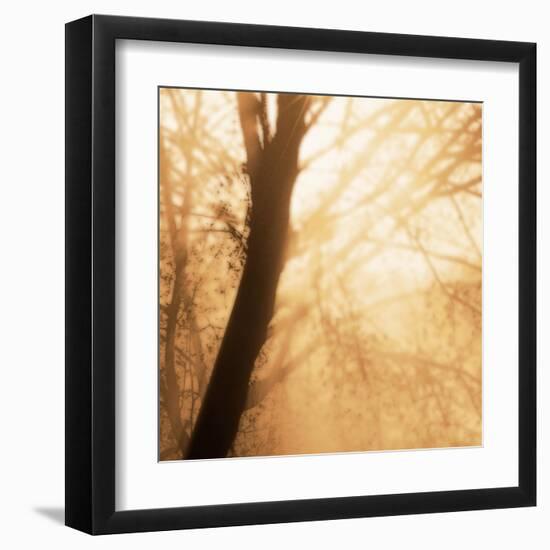 Epiphany III-Marvin Pelkey-Framed Art Print