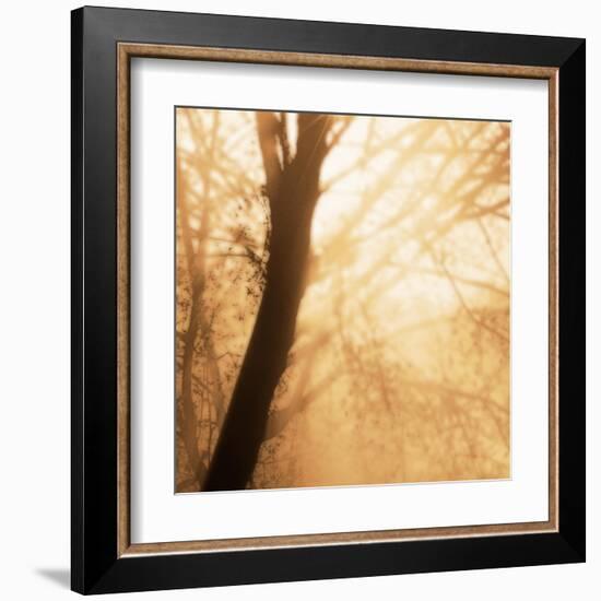 Epiphany III-Marvin Pelkey-Framed Art Print