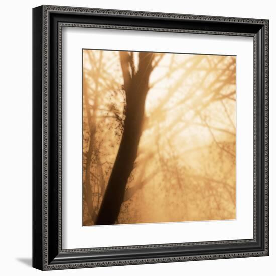 Epiphany III-Marvin Pelkey-Framed Art Print