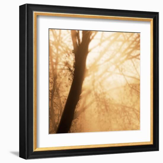 Epiphany III-Marvin Pelkey-Framed Art Print