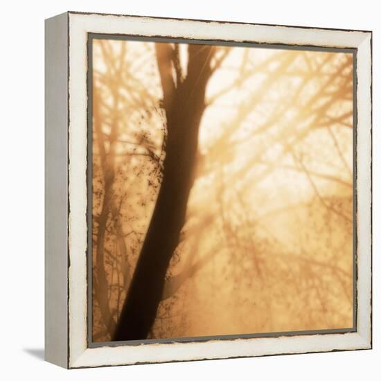 Epiphany III-Marvin Pelkey-Framed Stretched Canvas