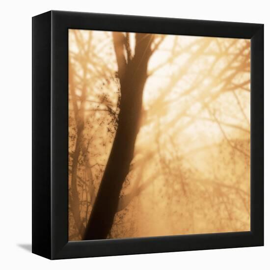 Epiphany III-Marvin Pelkey-Framed Stretched Canvas