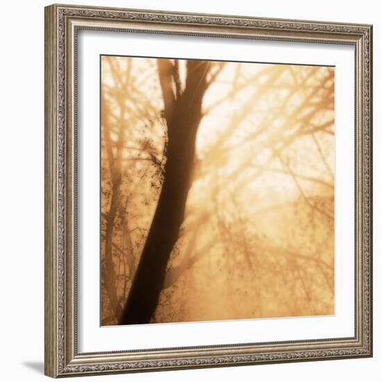 Epiphany III-Marvin Pelkey-Framed Art Print