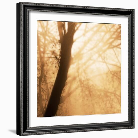 Epiphany III-Marvin Pelkey-Framed Art Print