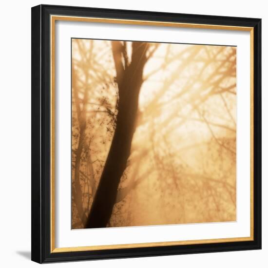 Epiphany III-Marvin Pelkey-Framed Art Print