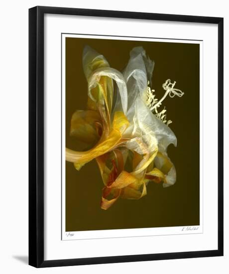 Epiphyllum 4-Kate Blacklock-Framed Giclee Print