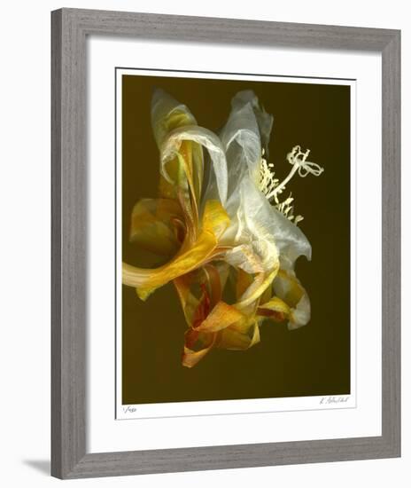 Epiphyllum 4-Kate Blacklock-Framed Giclee Print
