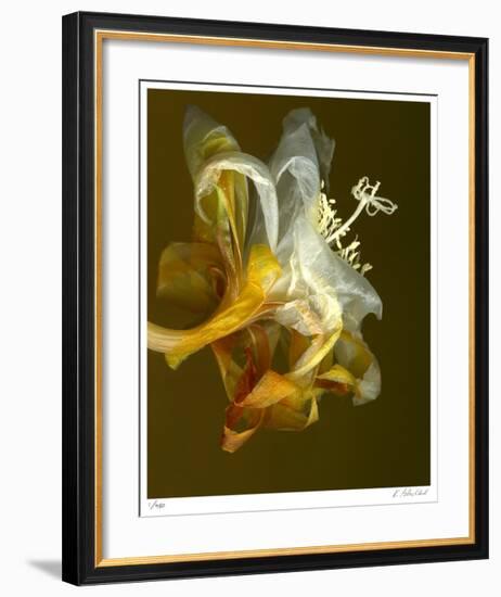 Epiphyllum 4-Kate Blacklock-Framed Giclee Print