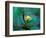 Epiphyte, Barro Colorado Island, Panama-Christian Ziegler-Framed Photographic Print