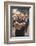 Episcopalian Priest Reading a Newspaper While Walking in Street, New York City-Vernon Merritt III-Framed Photographic Print