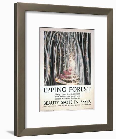 Epping Forest Beauty Spots in Essex-null-Framed Art Print