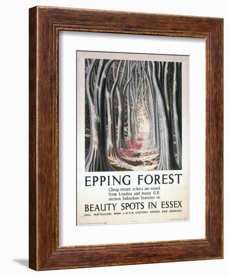 Epping Forest Beauty Spots in Essex-null-Framed Art Print