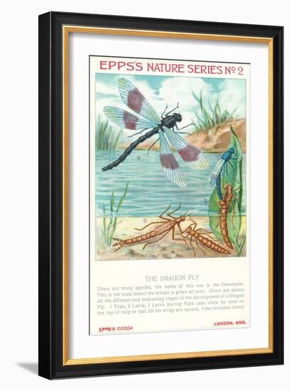 Epps's Nature Series, Dragon Fly-null-Framed Premium Giclee Print