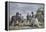 Epsom Downs - City and Suburban Day-Sir Alfred Munnings-Framed Premier Image Canvas