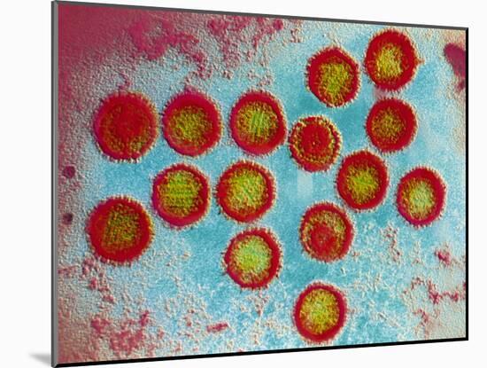 Epstein-Barr Virus Particles-null-Mounted Photographic Print