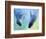 Equally Fascinating, 2003-Mark Adlington-Framed Giclee Print