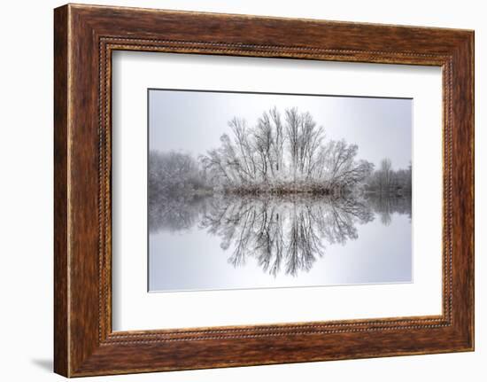 Equanimity-Philippe Sainte-Laudy-Framed Photographic Print