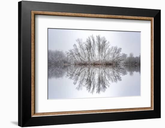 Equanimity-Philippe Sainte-Laudy-Framed Photographic Print