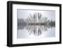 Equanimity-Philippe Sainte-Laudy-Framed Photographic Print