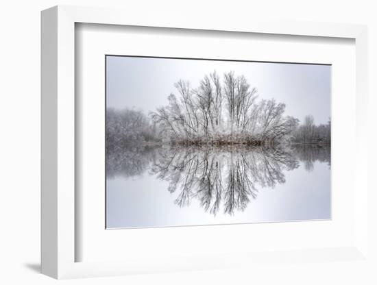 Equanimity-Philippe Sainte-Laudy-Framed Photographic Print