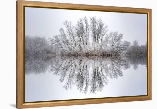 Equanimity-Philippe Sainte-Laudy-Framed Premier Image Canvas