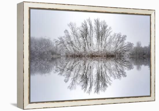 Equanimity-Philippe Sainte-Laudy-Framed Premier Image Canvas