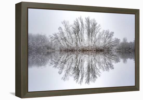 Equanimity-Philippe Sainte-Laudy-Framed Premier Image Canvas