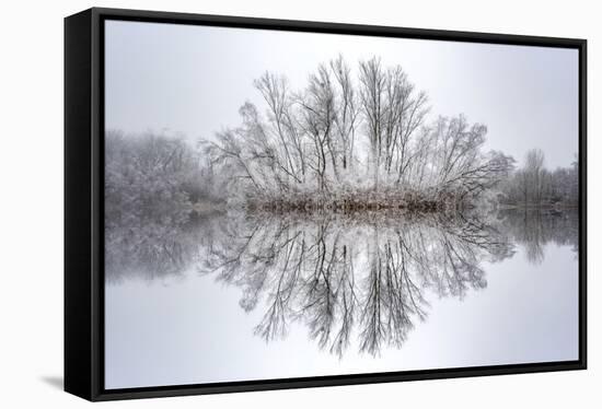 Equanimity-Philippe Sainte-Laudy-Framed Premier Image Canvas