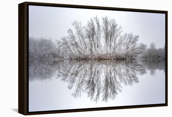 Equanimity-Philippe Sainte-Laudy-Framed Premier Image Canvas