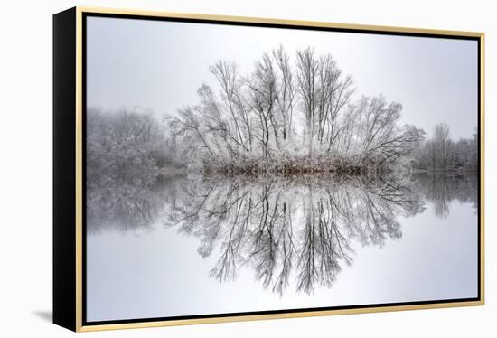 Equanimity-Philippe Sainte-Laudy-Framed Premier Image Canvas