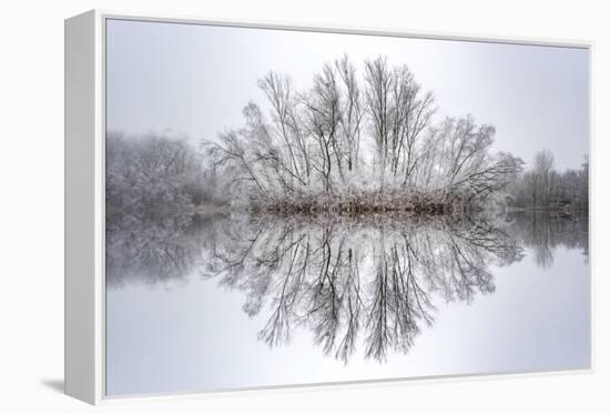 Equanimity-Philippe Sainte-Laudy-Framed Premier Image Canvas