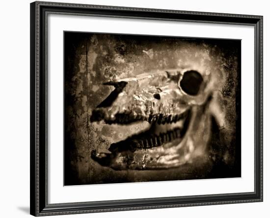 Equas Caballus-Clive Nolan-Framed Photographic Print