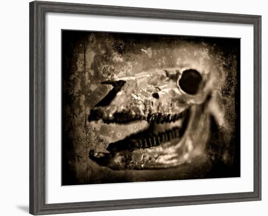 Equas Caballus-Clive Nolan-Framed Photographic Print