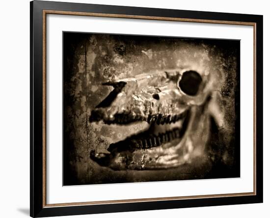 Equas Caballus-Clive Nolan-Framed Photographic Print