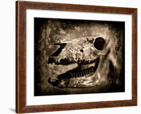 Equas Caballus-Clive Nolan-Framed Photographic Print